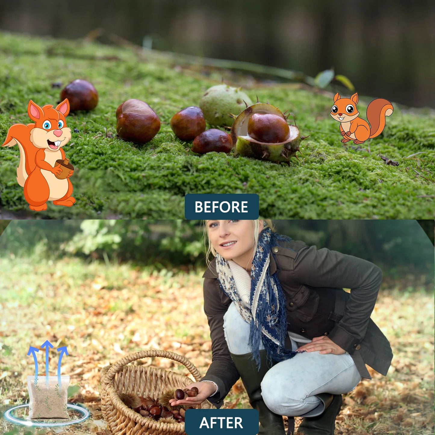 Effective Mint Squirrel Repellent Chipmunk Deterrent Outdoor Garden