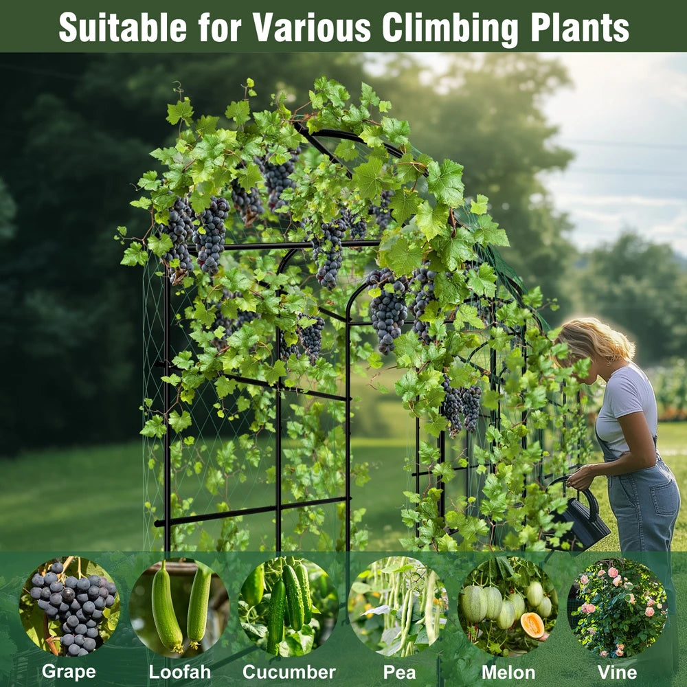 Wisfor U-Shaped Metal Tall Garden Trellis for Climbing Plants