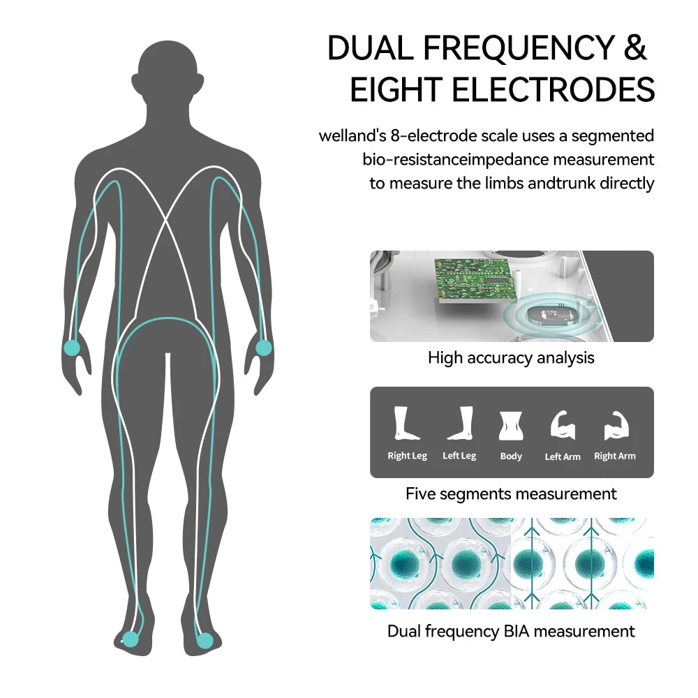 Smart Scale 8 Electrodes Digital Body Monitor TFT Display FSA