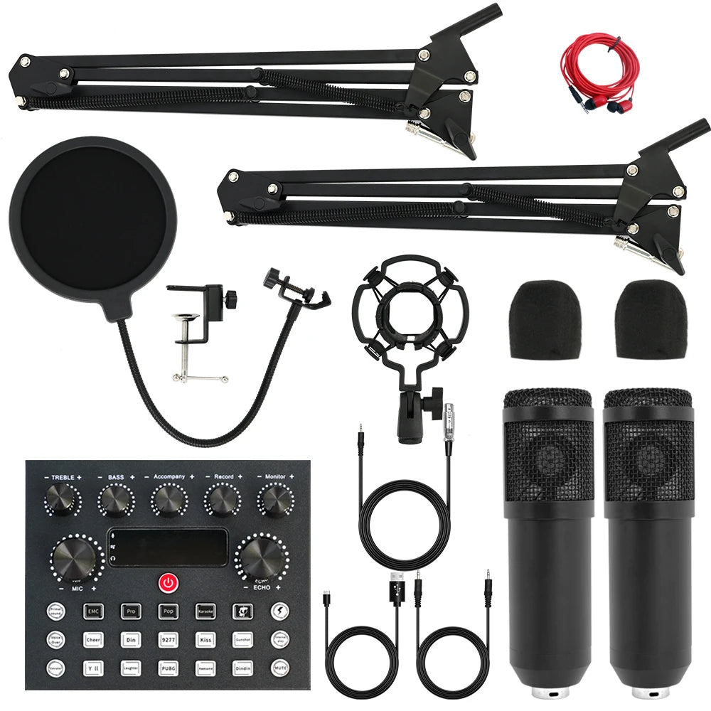 Studio Recording Kit With Condenser Microphone For PC And Laptop