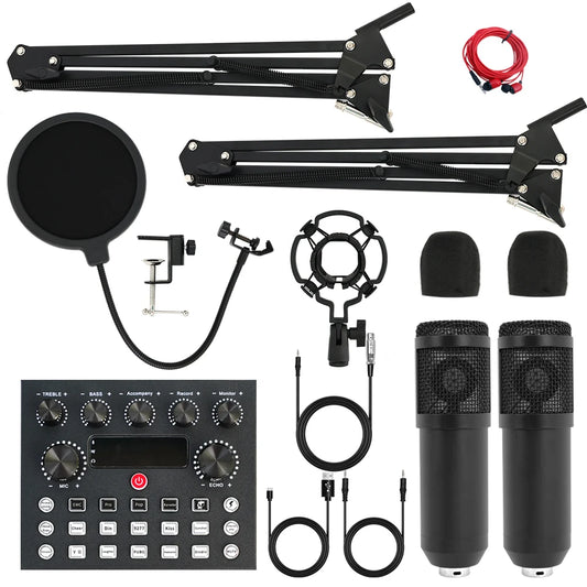 Studio Recording Kit With Condenser Microphone For PC And Laptop