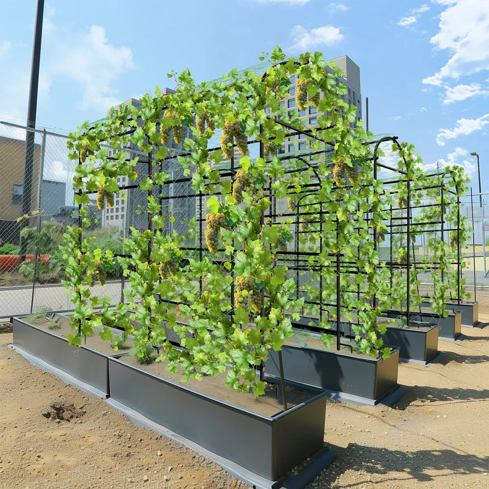 Wisfor U-Shaped Metal Tall Garden Trellis for Climbing Plants