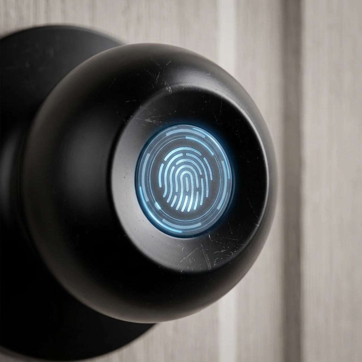 Fingerprint Smart Door Knob Lock With App And Keypad Access